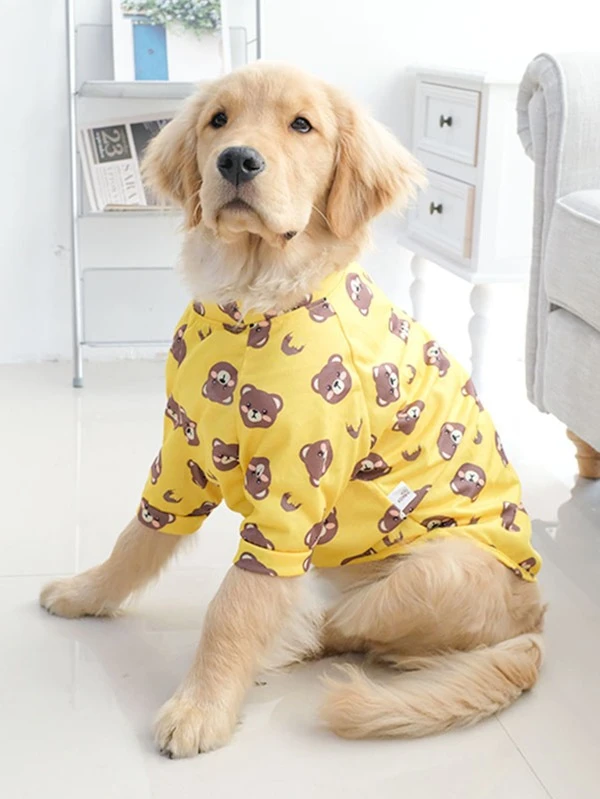 1pc Cartoon Bear Print Pet Tee Multicolor