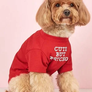 1pc Lightweight Pet Printed Letter Round Neck T-Shirt Suitable For Small Dogs And Cats, Spring/Summer/Autumn (Note: This Product Runs Small, Please Consider Ordering 1-2 Sizes Up) Red