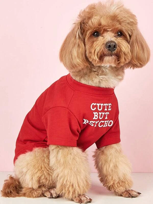 1pc Lightweight Pet Printed Letter Round Neck T-Shirt Suitable For Small Dogs And Cats, Spring/Summer/Autumn (Note: This Product Runs Small, Please Consider Ordering 1-2 Sizes Up) Red