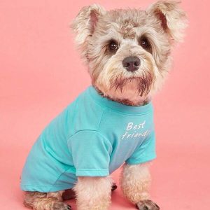 1pc Light Blue Lightweight Pet T-Shirt With Letter Print, Suitable For Cats And Dogs, Spring/Summer Baby Blue