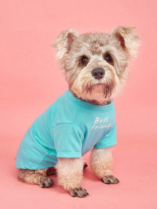 1pc Light Blue Lightweight Pet T-Shirt With Letter Print, Suitable For Cats And Dogs, Spring/Summer Baby Blue